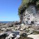Illustration for article titled Pics from the (Ocean Floor): 2018-05-05 at Botanical Beach